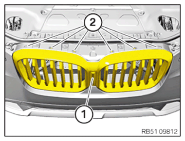 G14461907