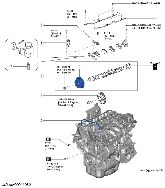 G14464602
