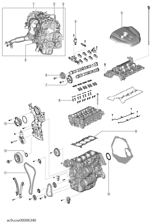 G14464650