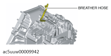 G14467135