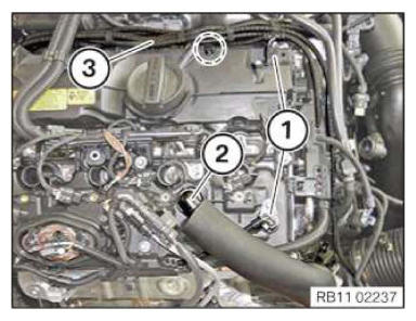 G14477531