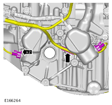 G14506138