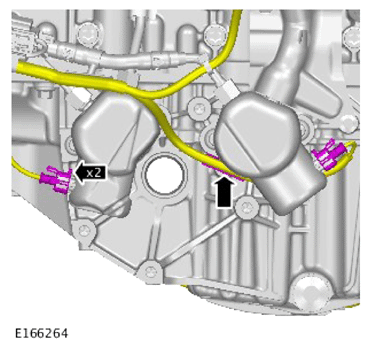 G14506195