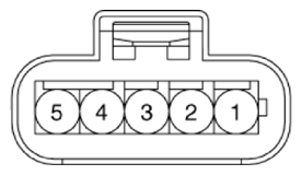 G14524875
