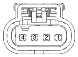 G14524928