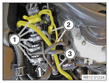 G14545161