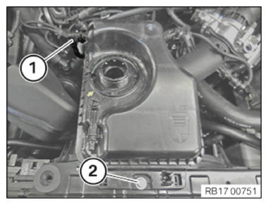 G14545508