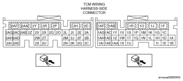 G14589411