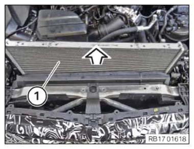 G14638783