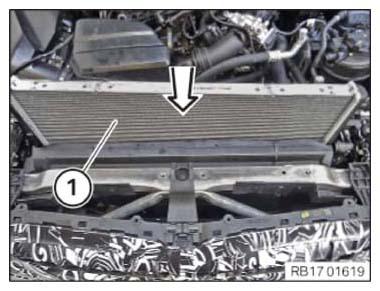 G14638784