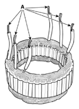 G14721152