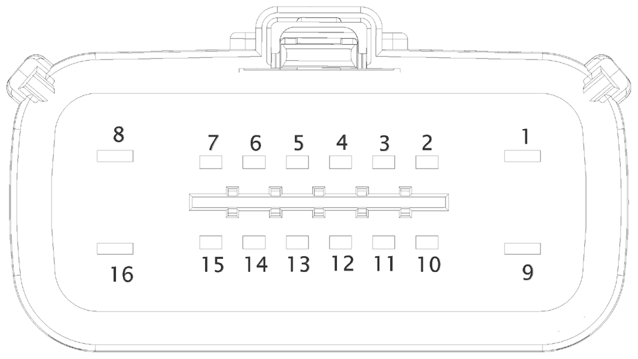 G14848181