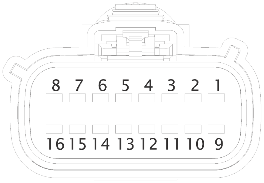 G14849131
