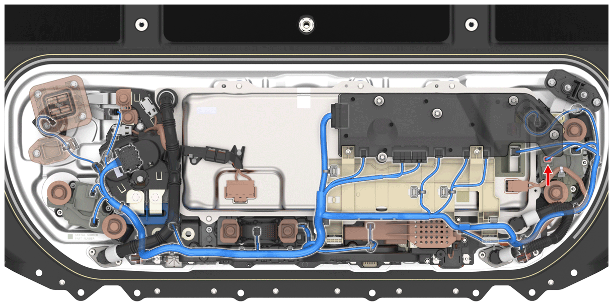 G14849686