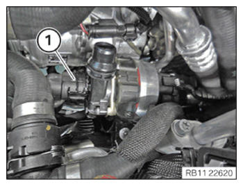 G14926817
