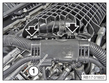 G14927475