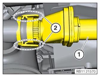 G14936186