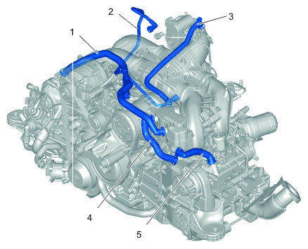 G14944921