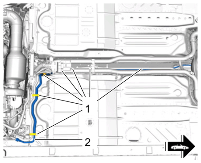 G14945652