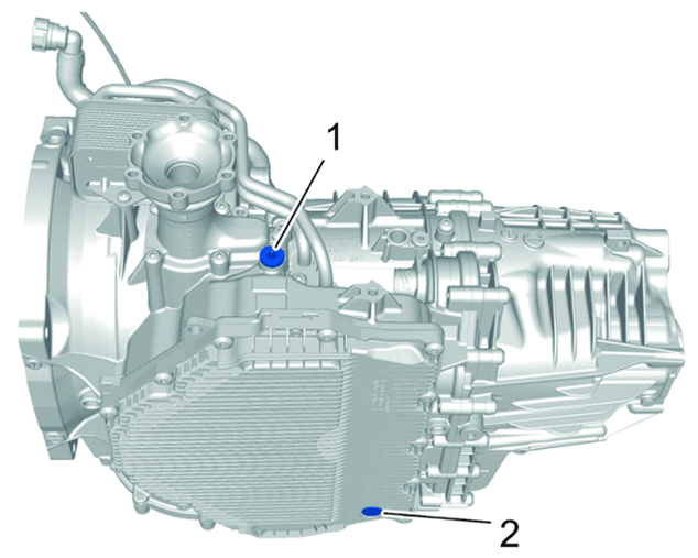 G14946635