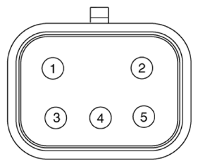 G14956879