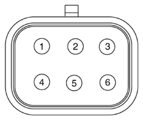 G14956881