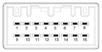 G14958541