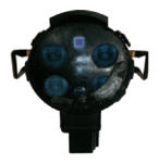 G14958812
