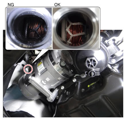 G14958850