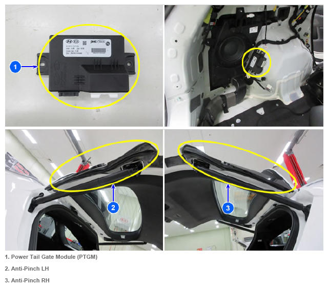 G14967678