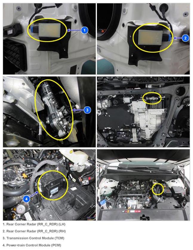 G14967763