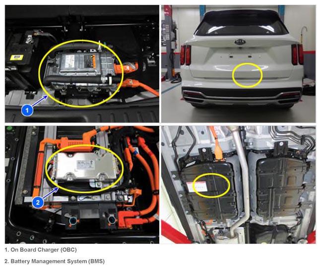 G14968080