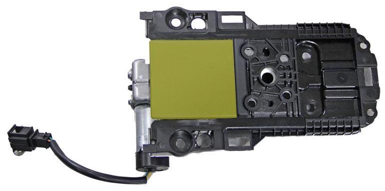 G14976256