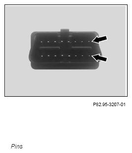 G15022524