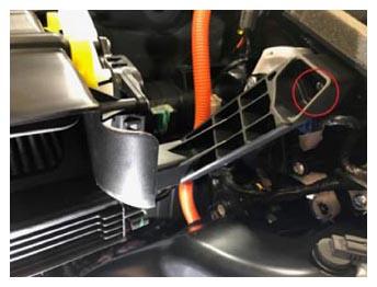 G15034494