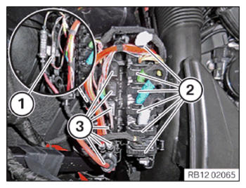 G15054418