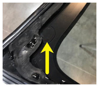 G15079239