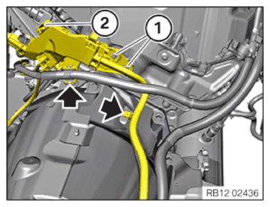 G15115638