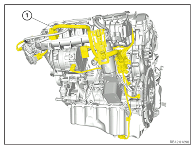 G15115685