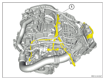 G15115686