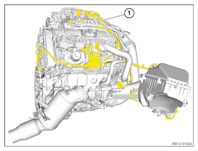 G15115692