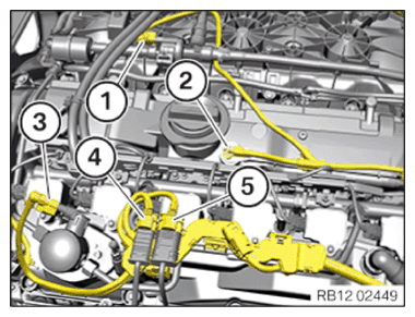 G15115754