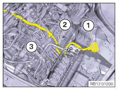 G15115775