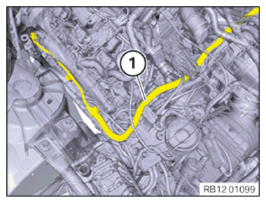 G15115776