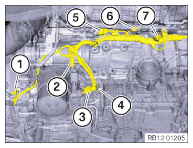 G15115826
