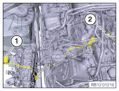 G15115845