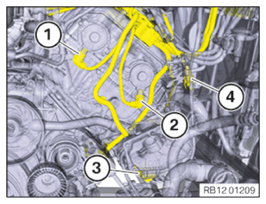 G15115847