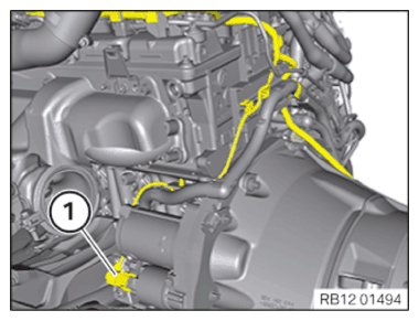 G15116054