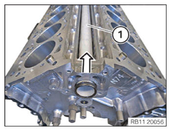 G15133126
