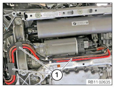 G15134409